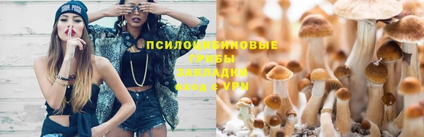 стафф Алзамай