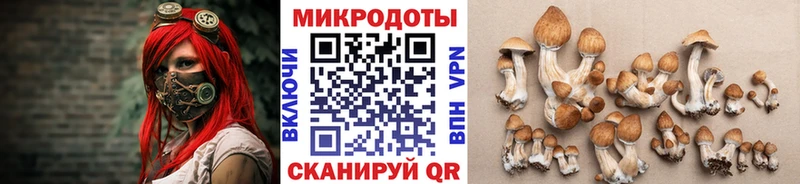 ссылка на мегу вход Лукоянов Псилоцибиновые грибы Magic Shrooms
